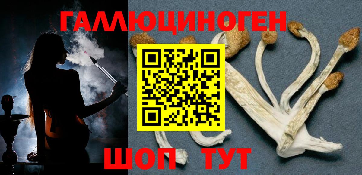 Россошь  Псилоцибиновые грибы Psilocybe  Вход с VPN 