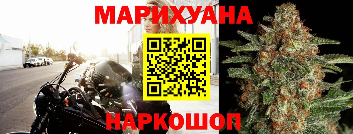 Конопля план Россошь